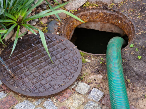 What Should You Do When Your Sewer Fails?